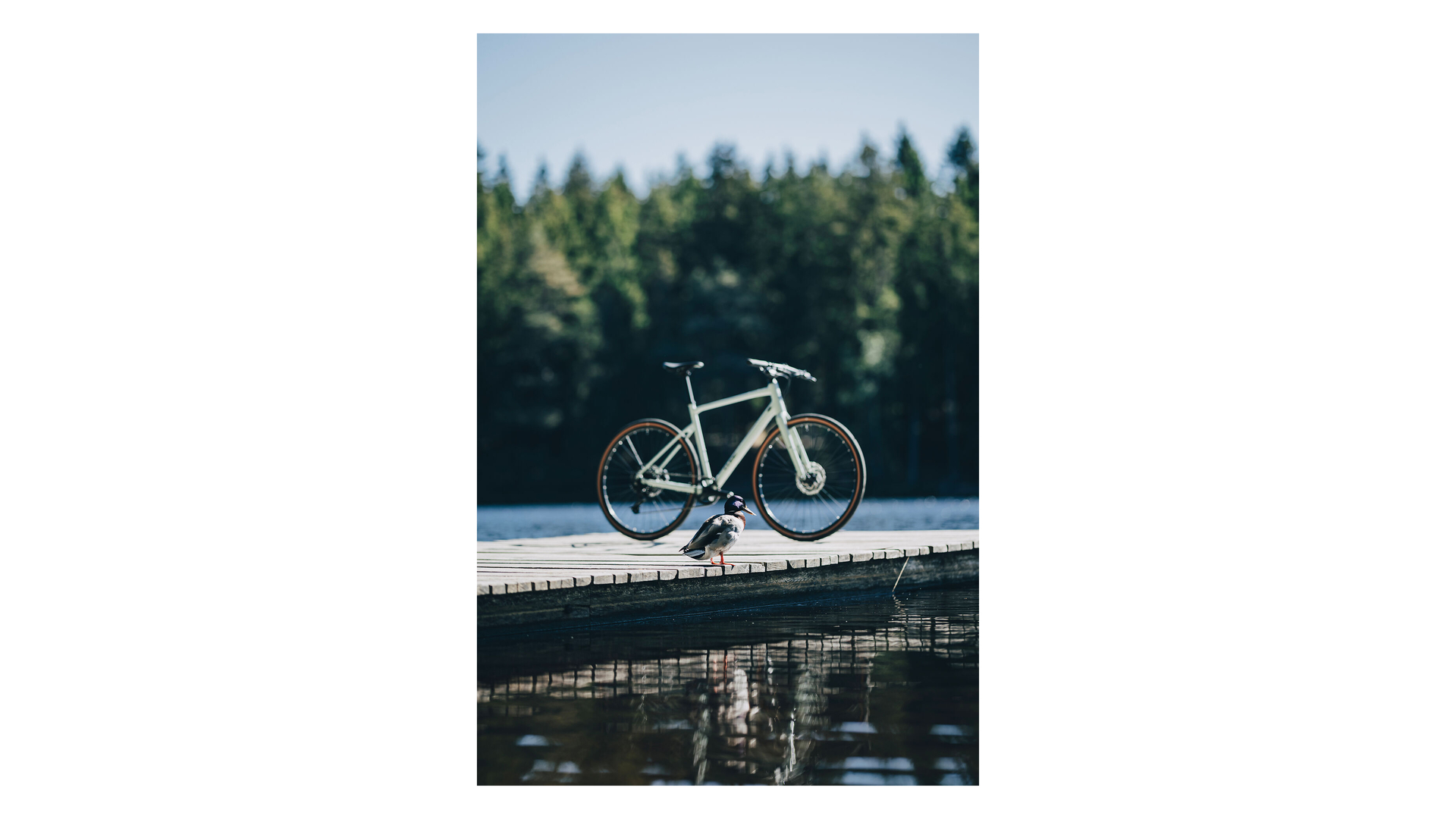 Cube Nulane Pro aloegreen´n´black