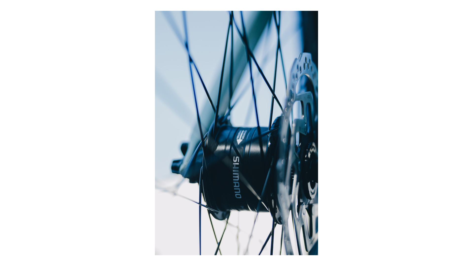 Cube Nulane Pro FE aloegreen´n´black